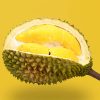 durian εξωτικό φρούτο